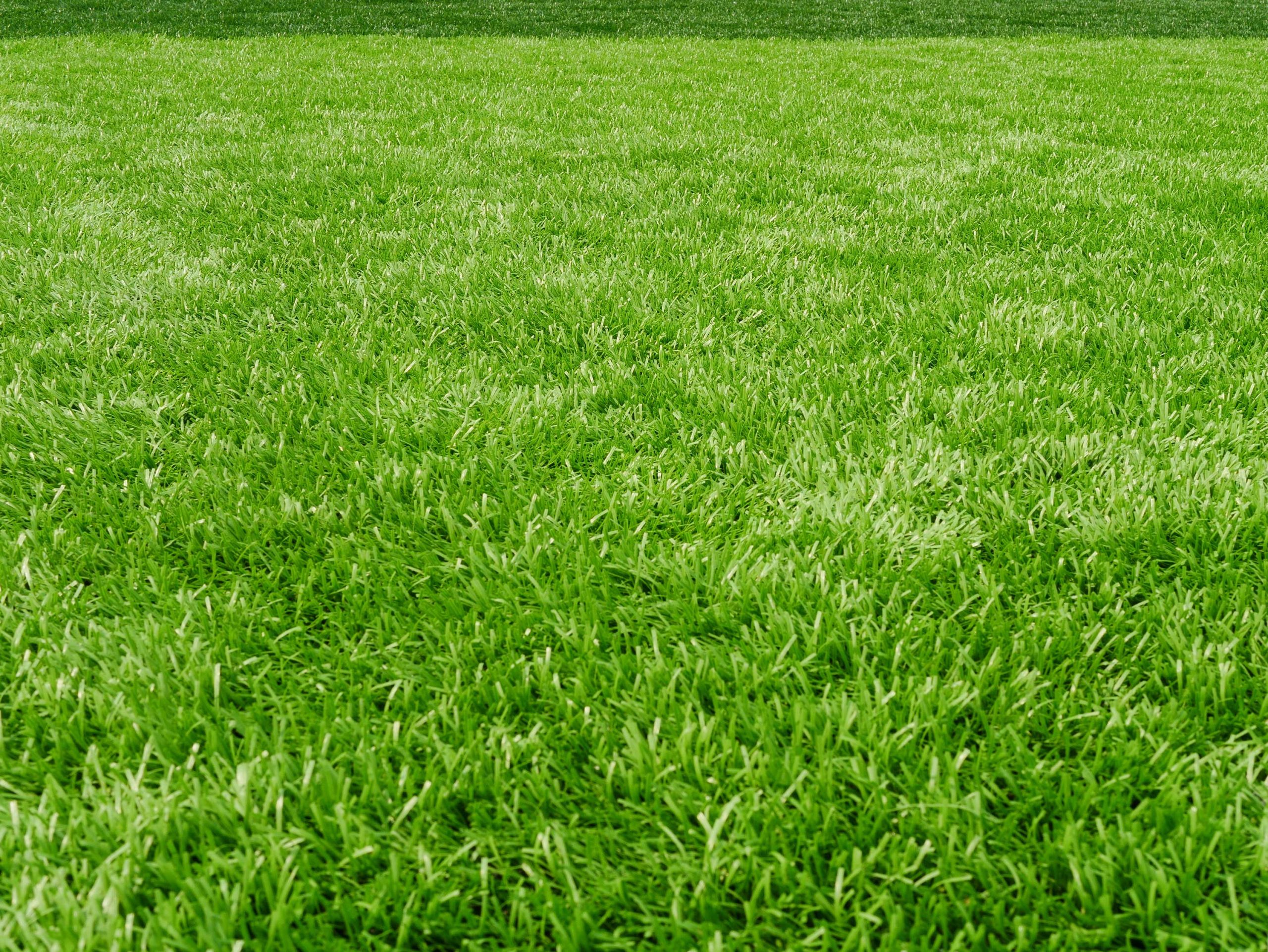 Close Up Of Artificial Turf